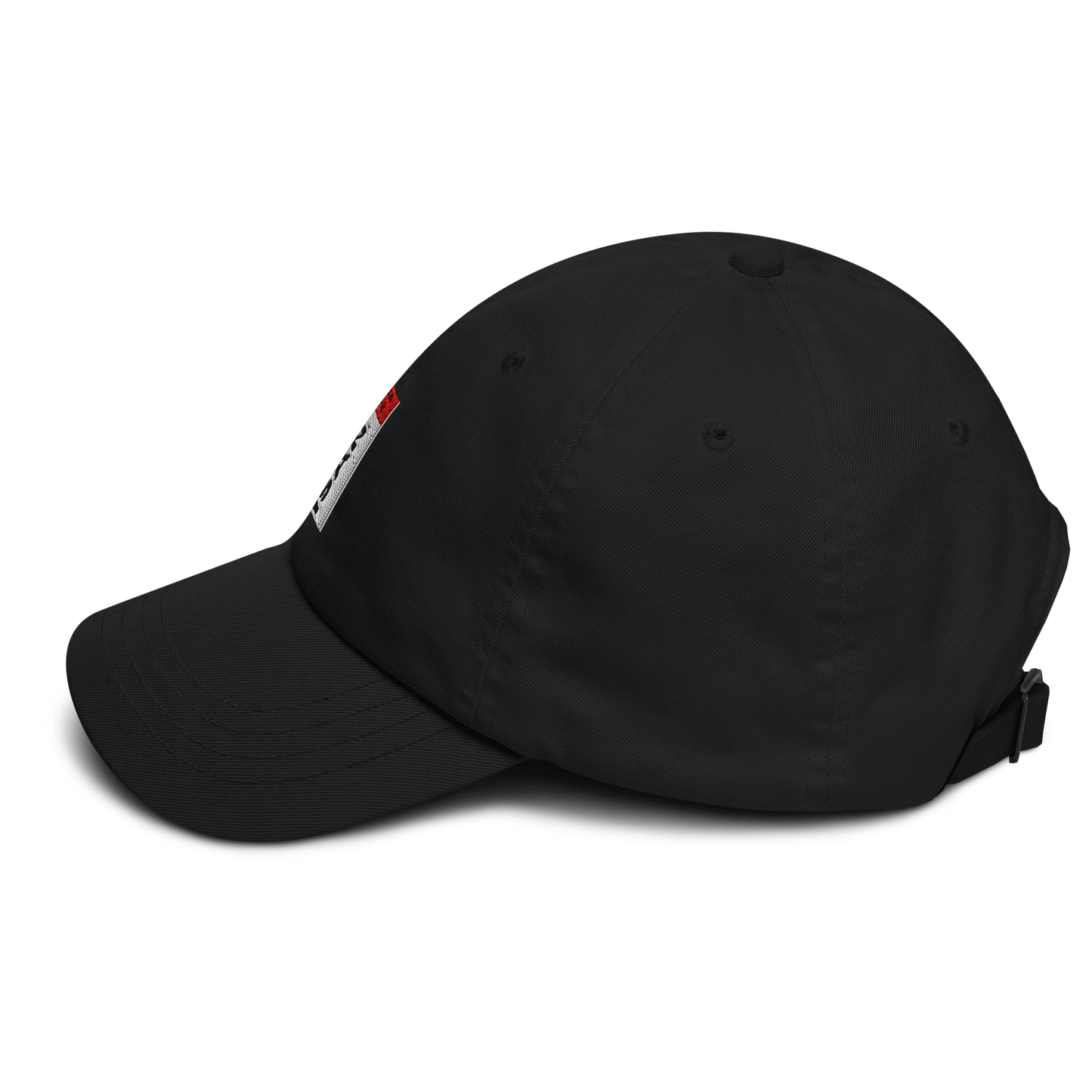 ISAN GA24 Dad Hat