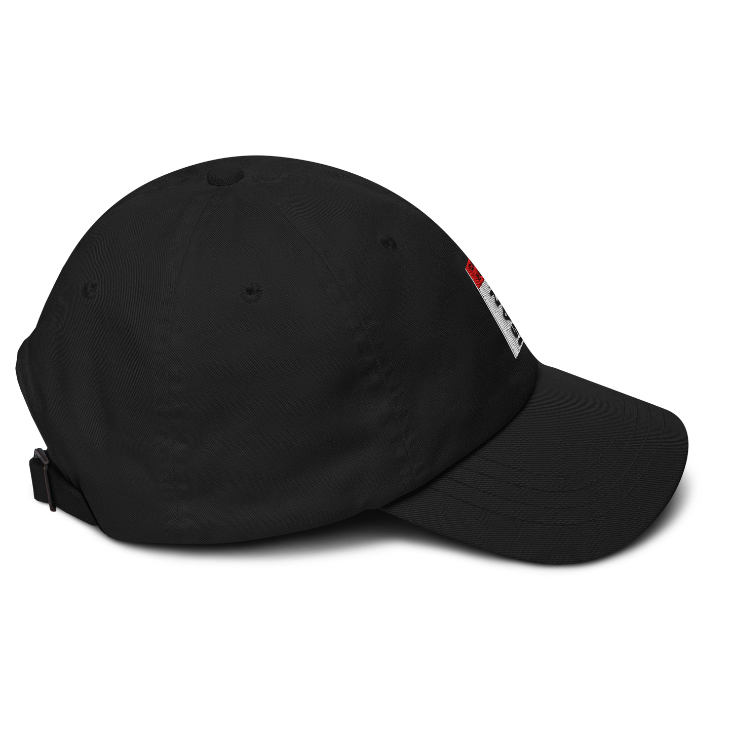 ISAN GA24 Dad Hat